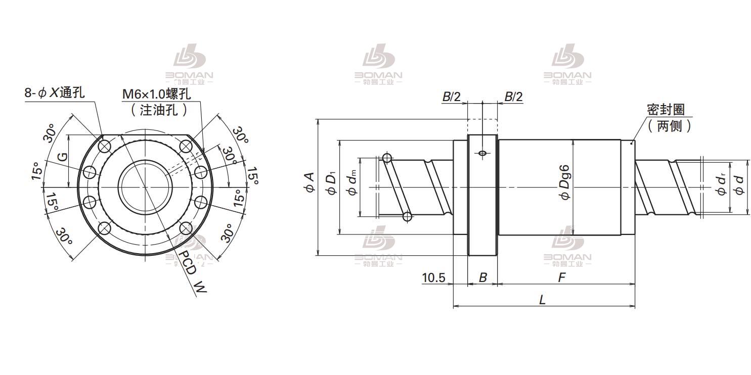 BSS3616-6E-BSS标准系列丝杠